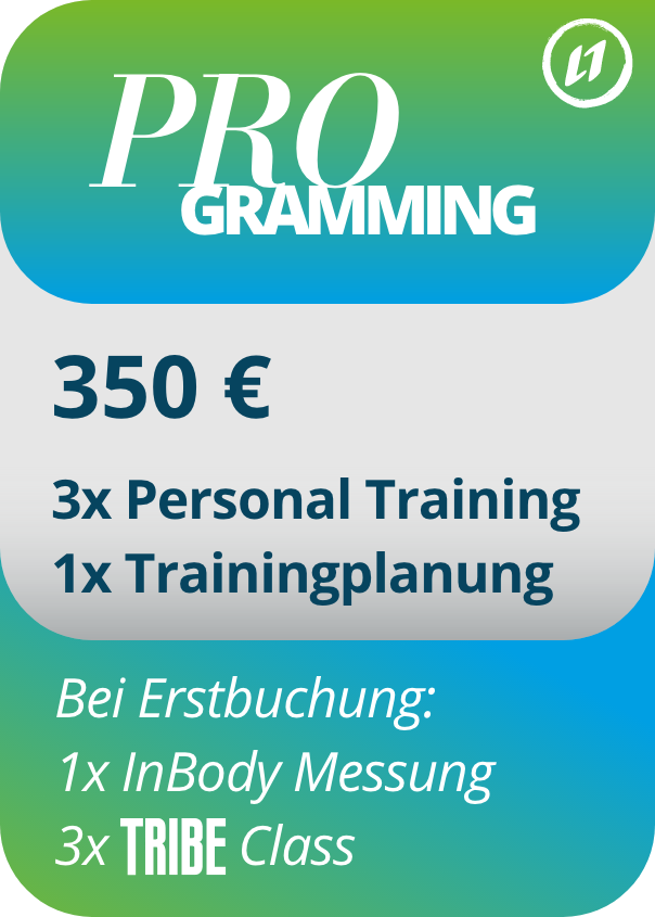 Trainingsprogramm Frankfurt Preise